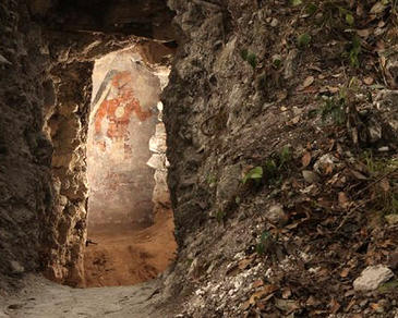 74481729.jpg
