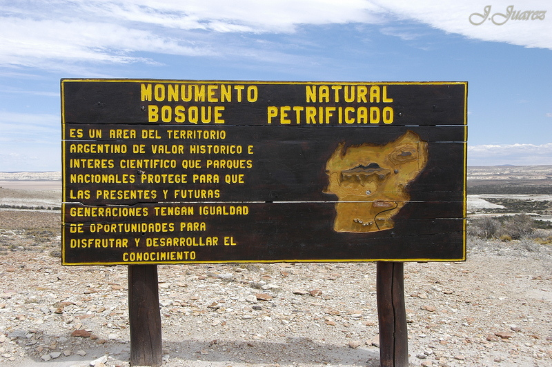 7497654386_af4873fc08_c.jpg