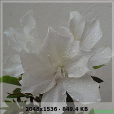 74f3153b75174f2671c5afc6c89e6bf6o.jpg