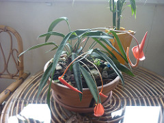 7531029740_b73d944e48_m.jpg