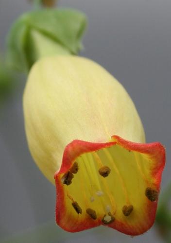 75_HD_106883_26.JPG