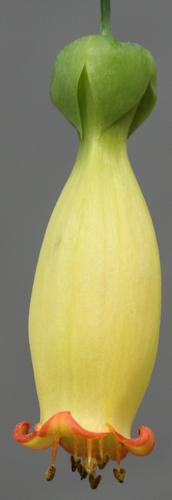75_HD_106883_33.JPG