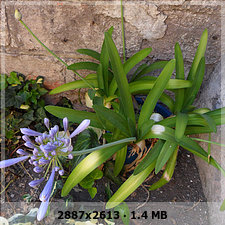 75a8a61a8d6d680e25db0ab491025556o.jpg