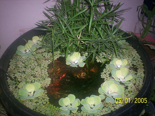75c6bd8cf752f3999977e114935d812co.jpg