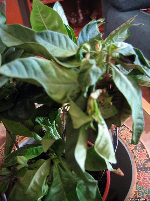 75cd0a61.jpg