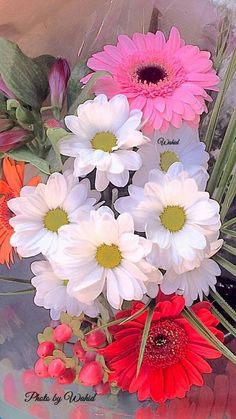 75f22b50d01cee5d05f2dbb1efa0bc41.jpg