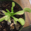 7607bd32969899.gif