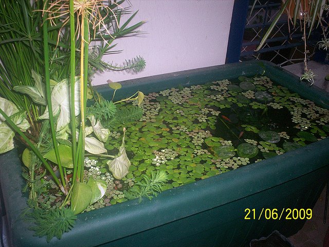76aa2623e945dbeec7af20a724511352o.jpg