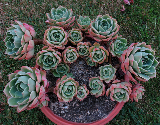 7790898976_f2d2835c08_z.jpg