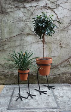 77cc406727c4cd70de19dbb351f0d3bd.jpg