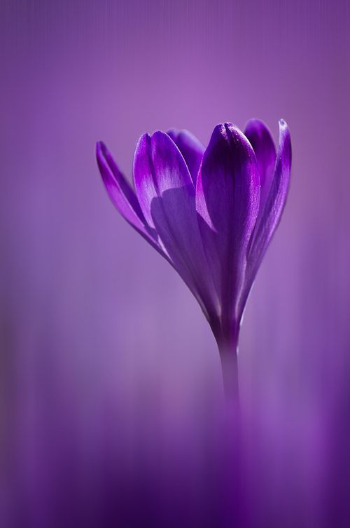 781f8e904e300faa4764b97e7208c017.jpg