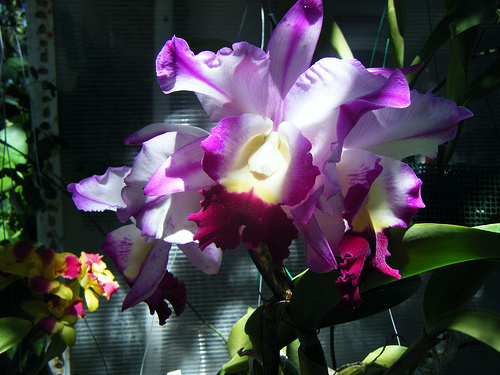 7904641570_8b90b345dc.jpg