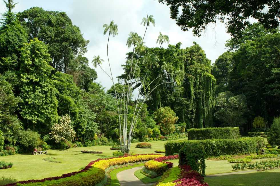 794_royal-botanic-garden.jpg