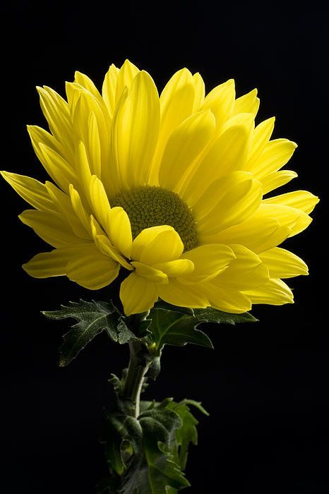 79b1f9eea92b7c18c40752b562d30c1f.jpg