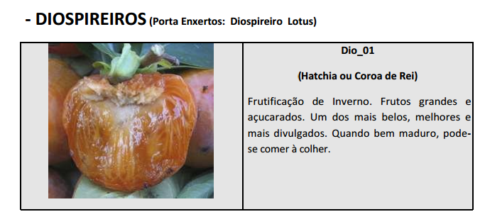 79e2bd9181c441db89dfff5d69fe908c.png
