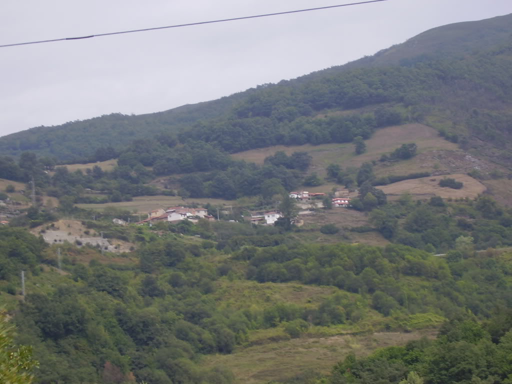 7bf84537.jpg