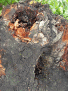 7d37fa29426966.gif