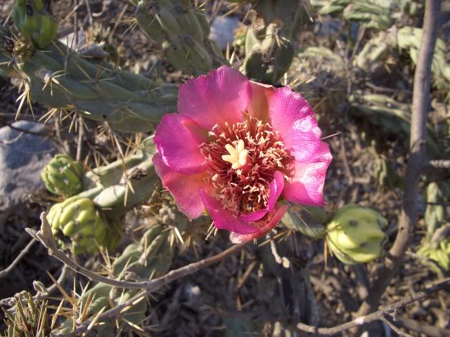 7d96d96f.jpg
