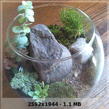 7dd5927d745c93d811193136d66dbe4eo.jpg