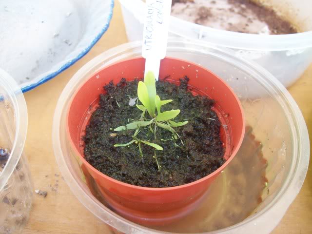 7desep2009024.jpg