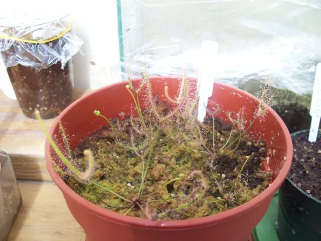 7desep2009030.jpg