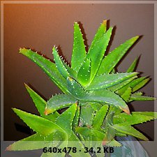 7f3c9a207f5e31b8d963aaf8cfb65b9eo.jpg