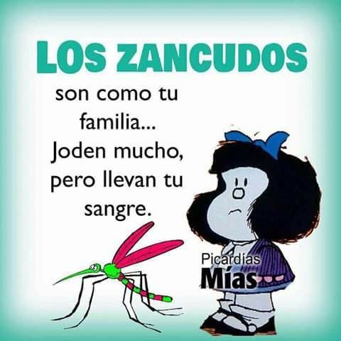 7f7f886bb35903cf2a2408f7e3eb4fca.jpg
