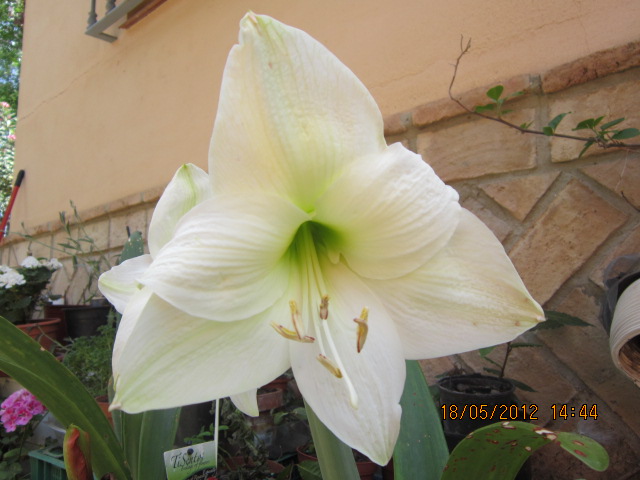 7JaIMG3200yX1.jpg