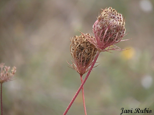 8000857622_c3d74e3425.jpg