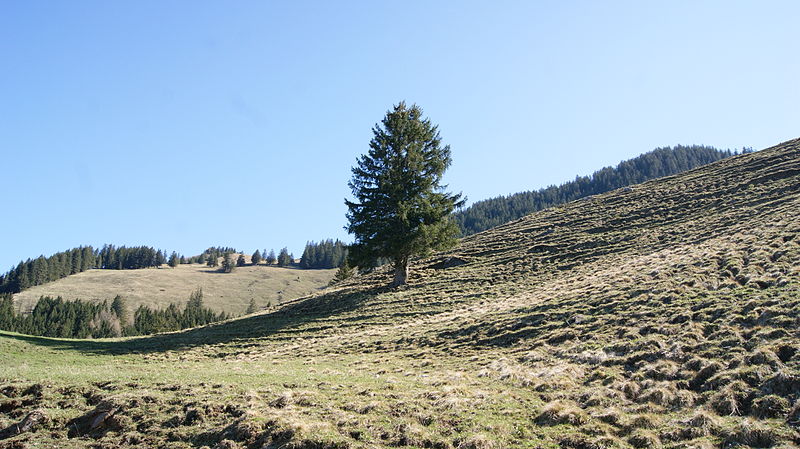 800px-Gafaduraalpe-Wettertanne-01.JPG