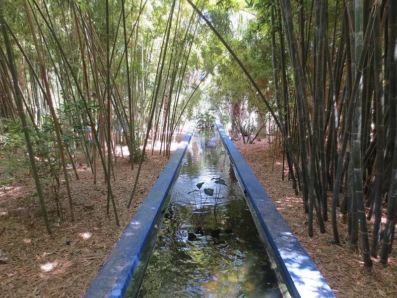 800px-Jardin_Majorelle_016.JPG