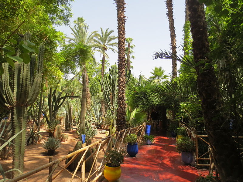 800px-Jardin_Majorelle_017.JPG