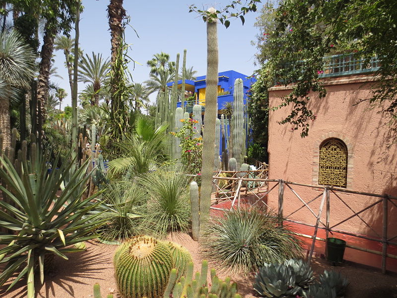 800px-Jardin_Majorelle_020.JPG