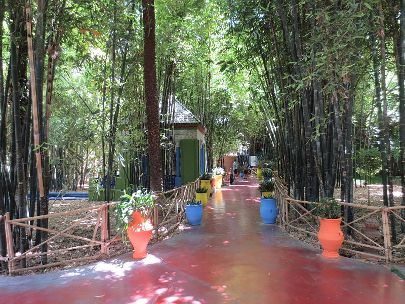 800px-Jardin_Majorelle_030.JPG