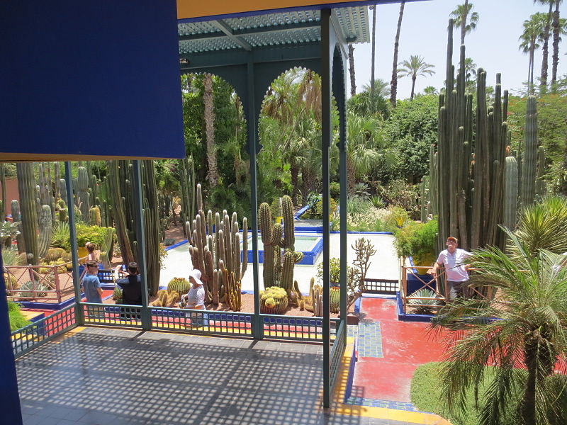 800px-Jardin_Majorelle_032.JPG