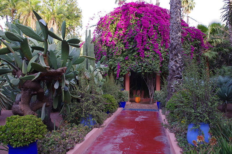 800px-Jardin_Majorelle_25.03.2011_18-30-28.JPG