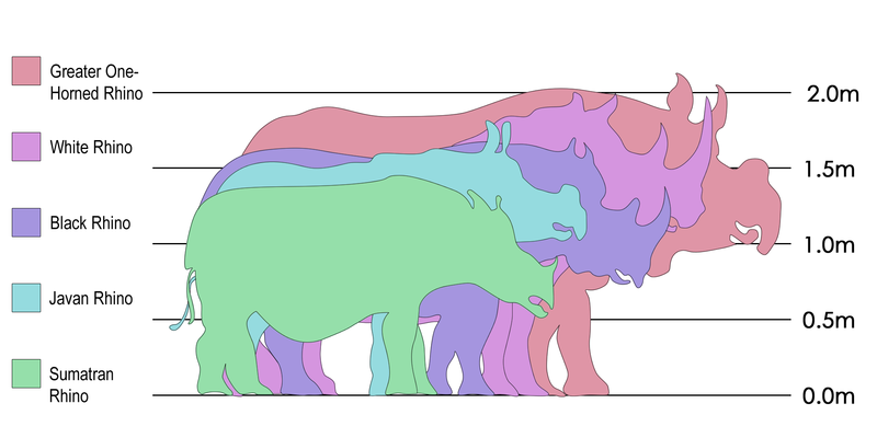 800px-Rhinosizes.png