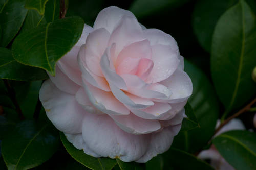 800x600-2.jpg