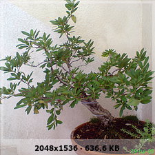 802a5677cfe079b74c48d51efbd1bf31o.jpg