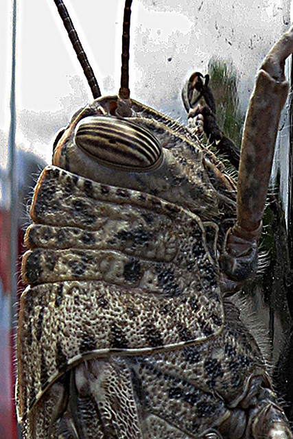 8056179670_465e30d270_z.jpg