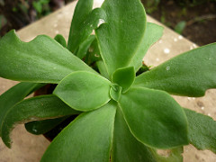 8061159814_5b39742128_m.jpg