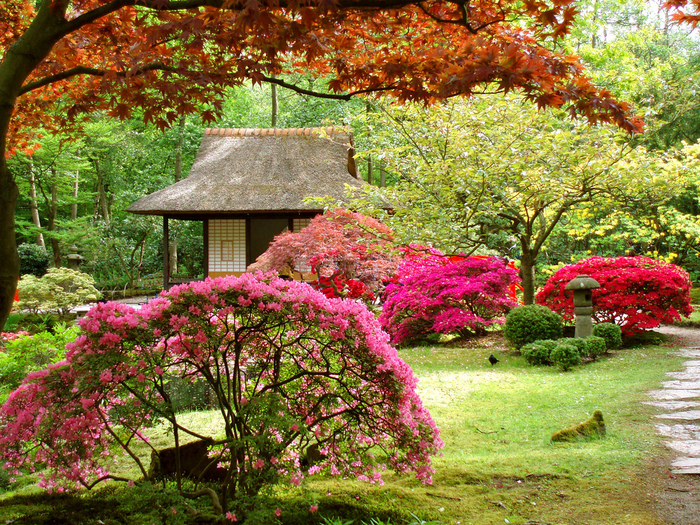 80818062_large_japan_aroundtheworld_com_ua__8_.jpg