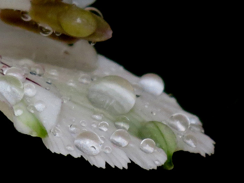 8108086123_f1c94c2633.jpg