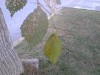 8193c9384212822.jpg