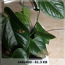 81d12adac27dbf14b710393d31d3af14o.jpg