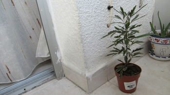 81e7231346922200.jpg