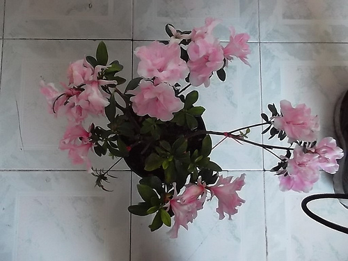 8205729759_dc7c19308d.jpg