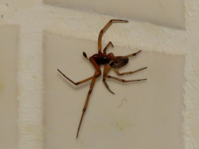 8226907649_5300fa1faa_c.jpg
