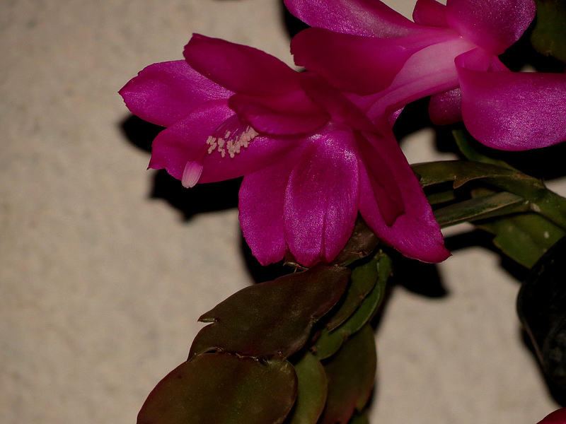 8226909273_d5d6b6f424_c.jpg