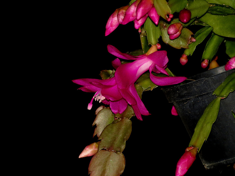8226911801_6da2cb9534_c.jpg